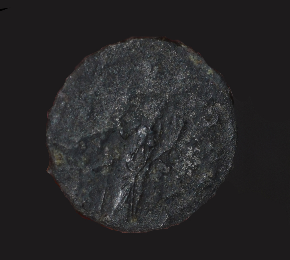Handsome-Fella-Wants-An-ID-After-Thousand-Of-Years-Roman-Coin