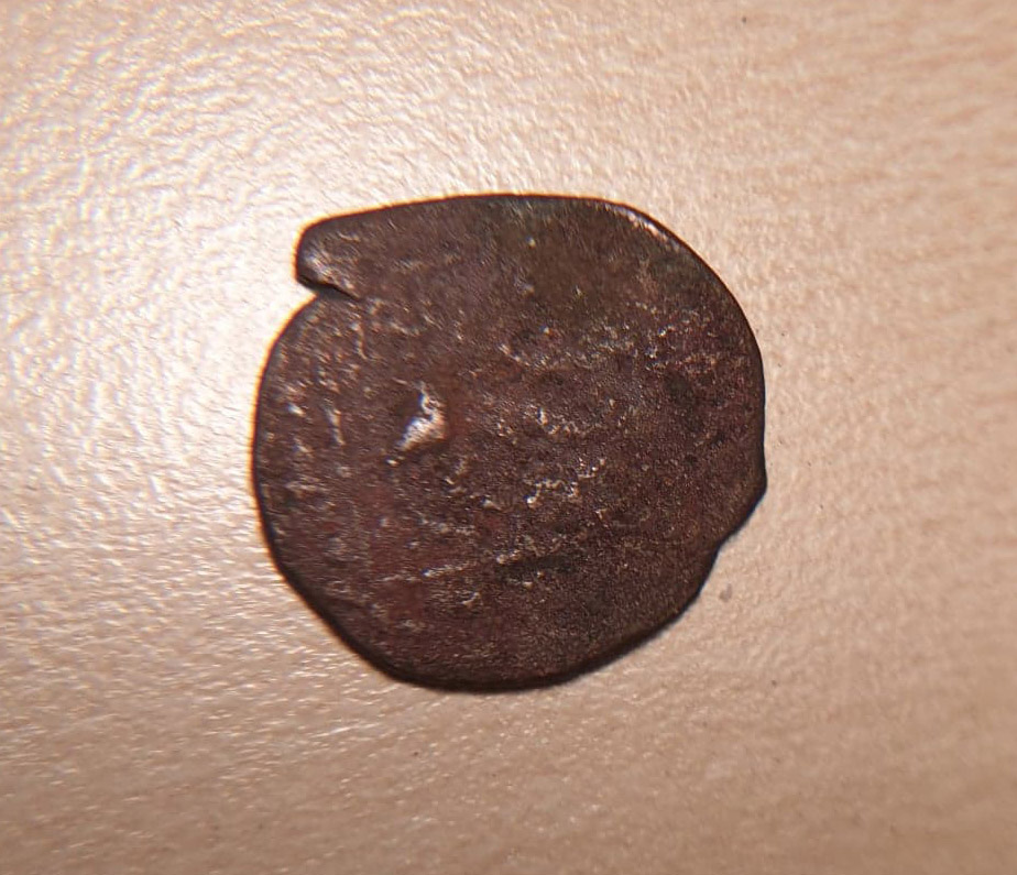 Unknown-Islamic-Coin-With-Animal?-Elephant/Horse