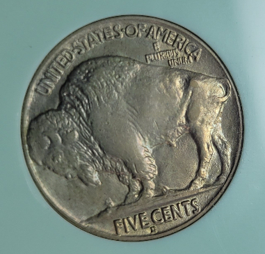 1916-D-Buffalo-Nickel-For-Grading