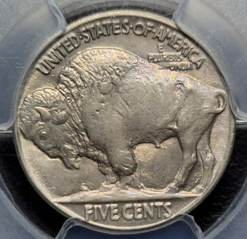 1914-P-Buffalo-Nickel-For-Grading