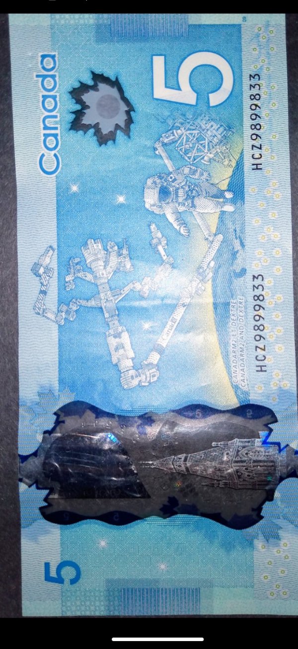$5-Polymer-Note--Is-This-Common?