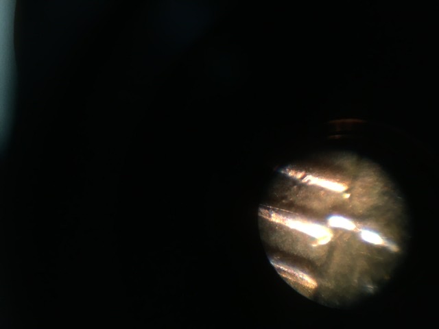 Help-Please?-1983-No-Mint-Lincoln-Memorial-Double-Die-Error?