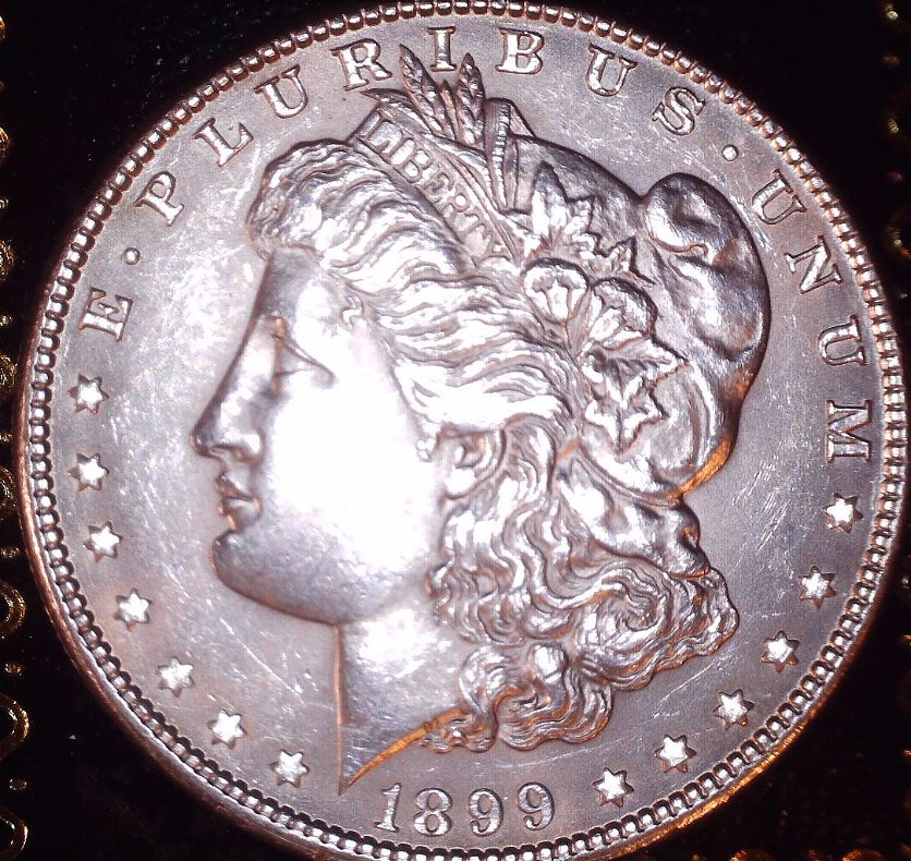 1899-Morgan-Dollar--Please-Help-Me-With-Grade