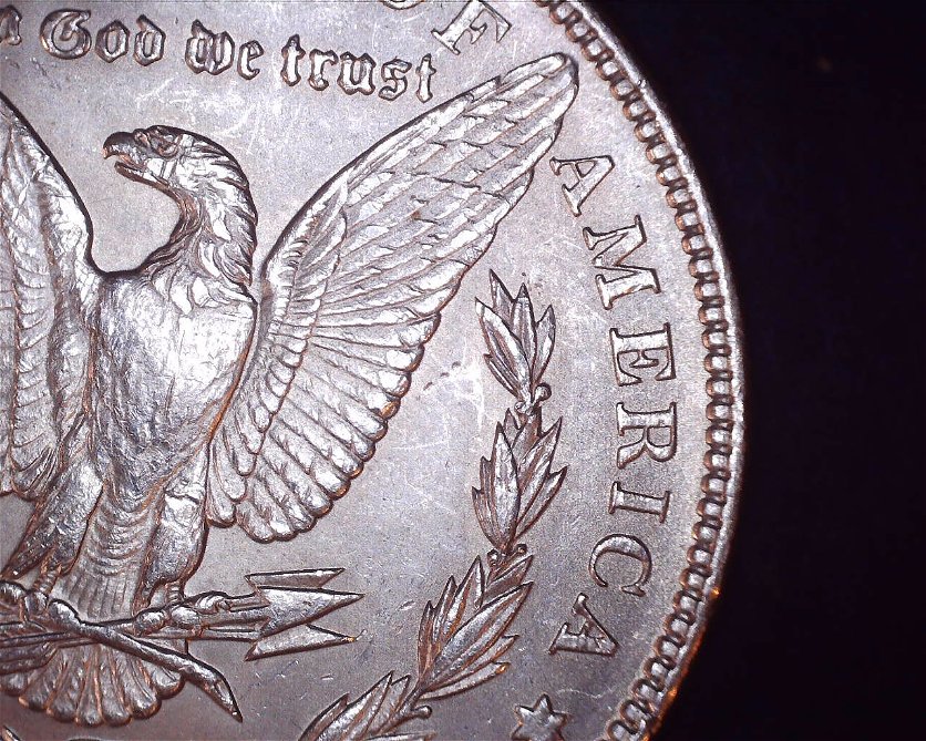 1899-Morgan-Dollar--Please-Help-Me-With-Grade