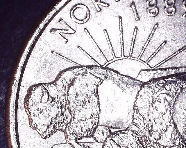 2006-P-Wash-State-Qtr--Sun-Ray-Going-Threw-Buffalo-Error?