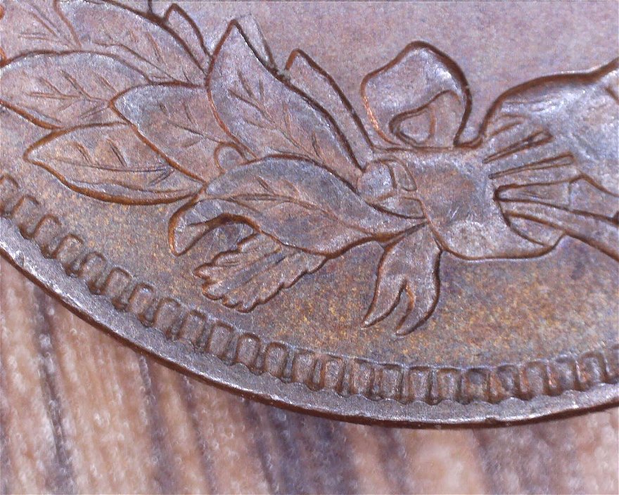 1888-Indian-Head-Penny-REV-DD-Please-Look-And-Give-Me-Your-Opinions