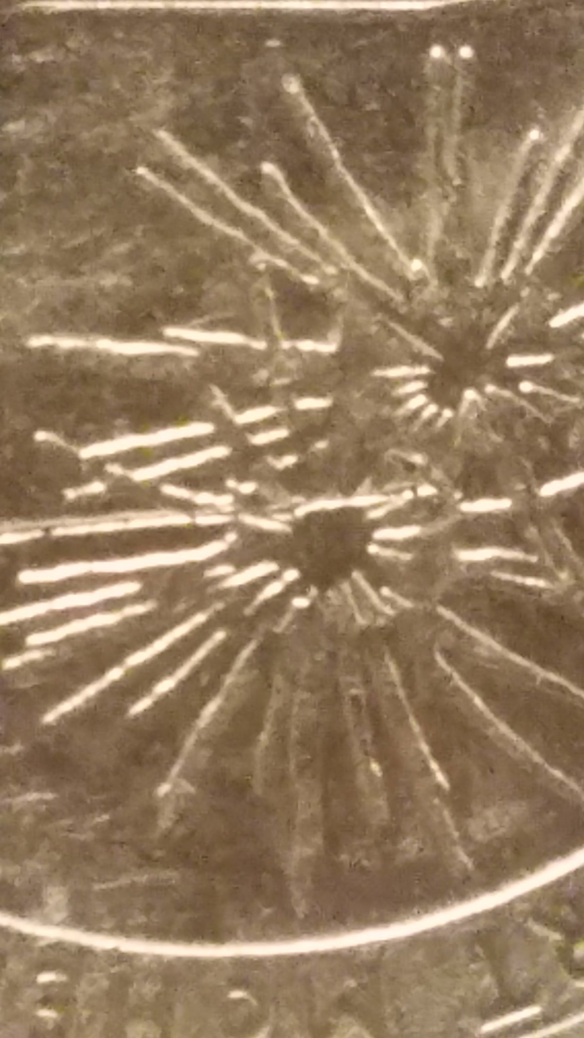 2013-Fort-Mchenry-Struck-Through-Fiber-Optics