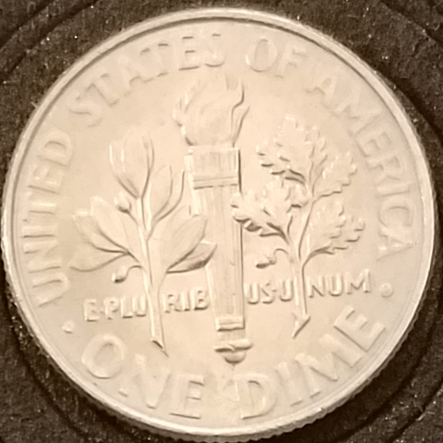 I-Think-2015-P-Roosevelt-Dime-Maybe-Unplated-Planchet