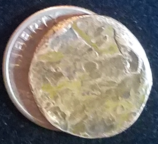 Copper-Coin-With-Reeds.