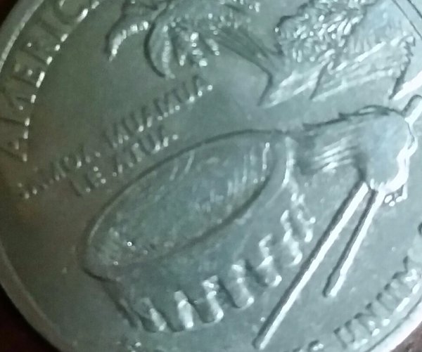 2009-American-Samoa-State-Quarter