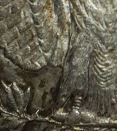 My-First-Morgan!-Can-Anyone-Identify-The-VAM?