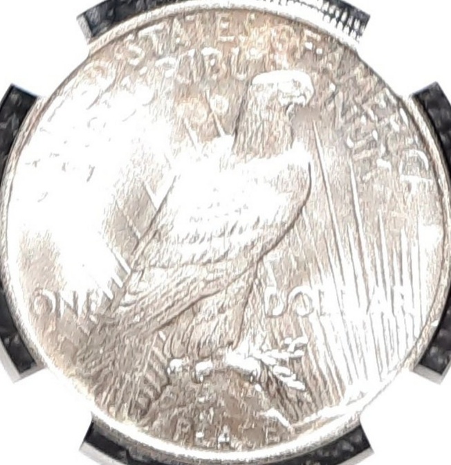 My-First-Peace-Dollar