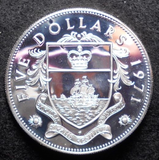 Starting-A-Collection-Of-Big-Silver