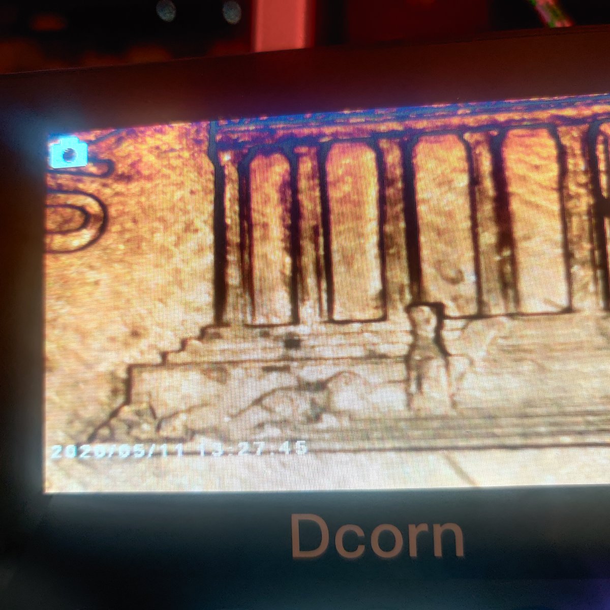 1997-D-DDR-On-Columns-Error-Or-Variety