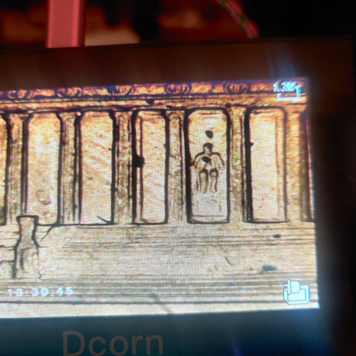 1997-D-DDR-On-Columns-Error-Or-Variety