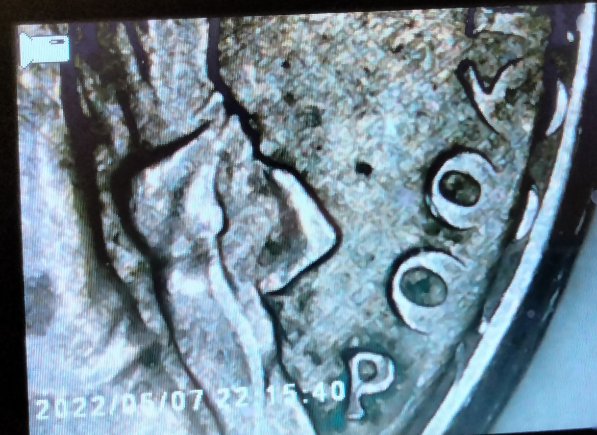 Anyone-See-This-On-The-Jefferson-Nickels?