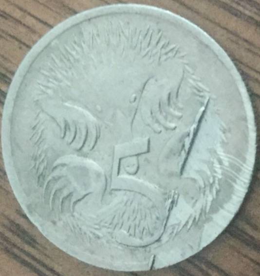 1973-5-Cent-Error,-2009-$1-Error.-I'm-New-Please-Help!