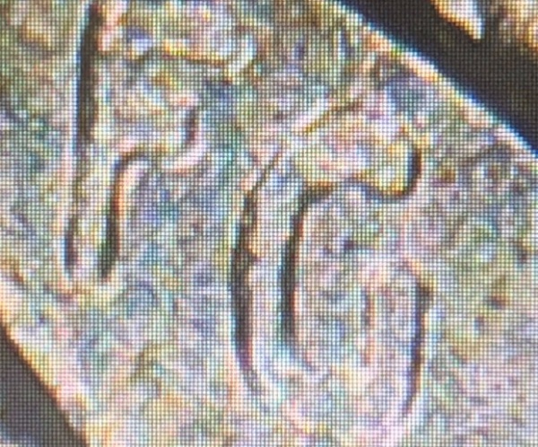 1964-JFK-Half-Dollar-FG-Error