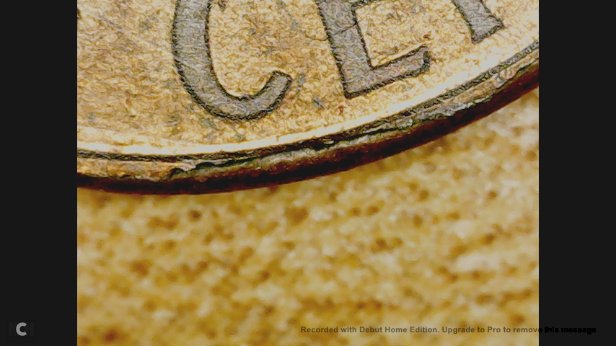 This-Coin-Has-So-Much-Going-On...no-Ideas