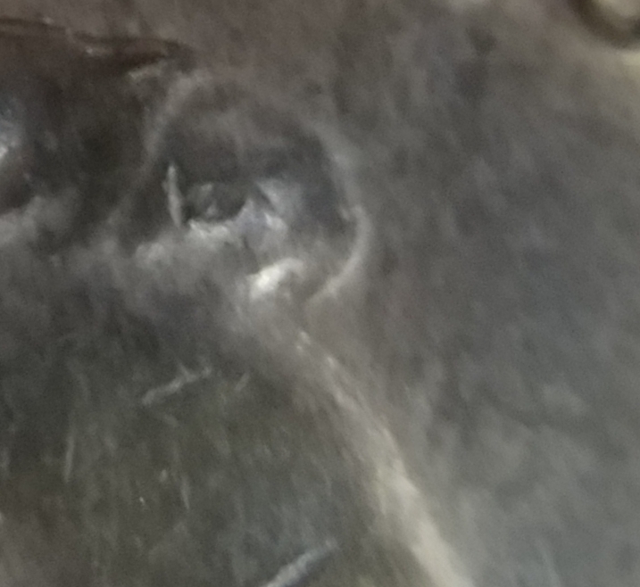 1969-S-Possible-DDO?
