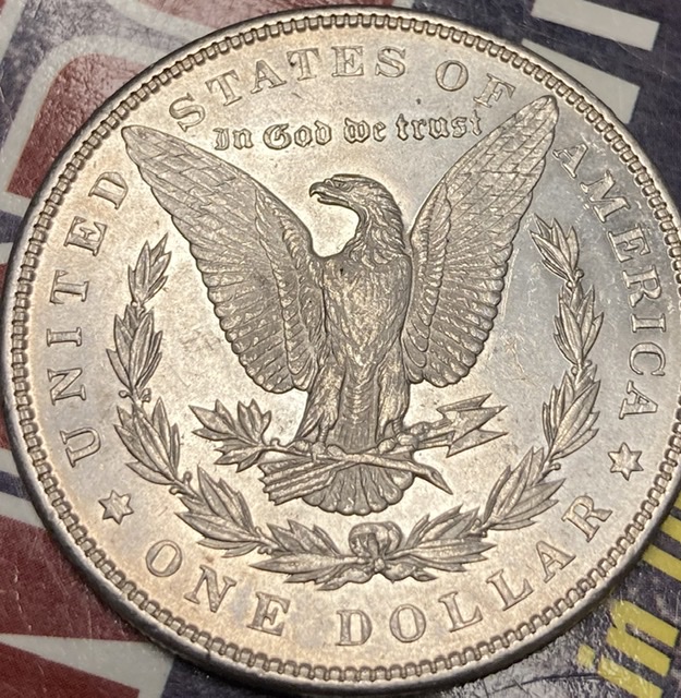 Morgan-Dollar-Send-To-PCGS-Or-NGC-What-Grade-Do-You-Think-They'll-Get?-Pl?