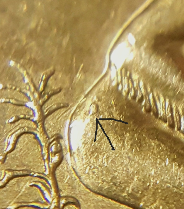 2009-P-Sacagawea-Possible-Die-Chip?...