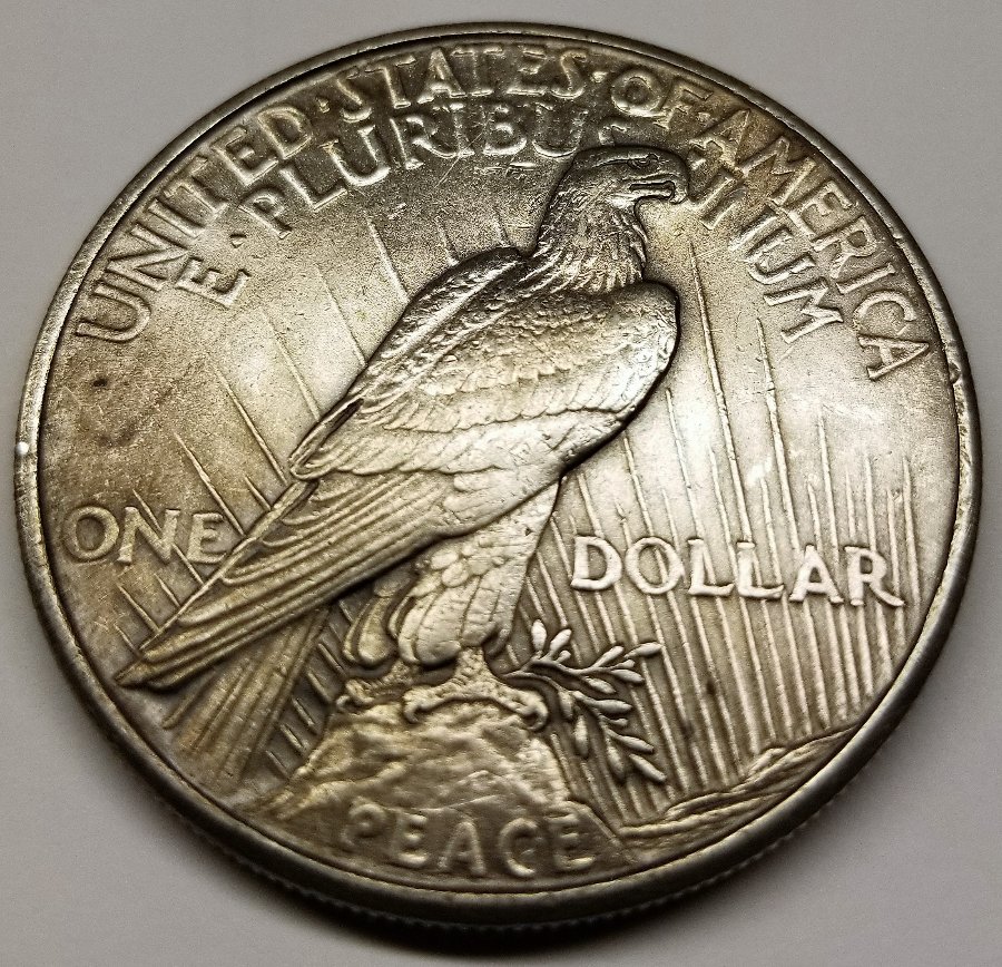 1921-Peace-Dollar-To-Grade-Or-Not-To-Grade?