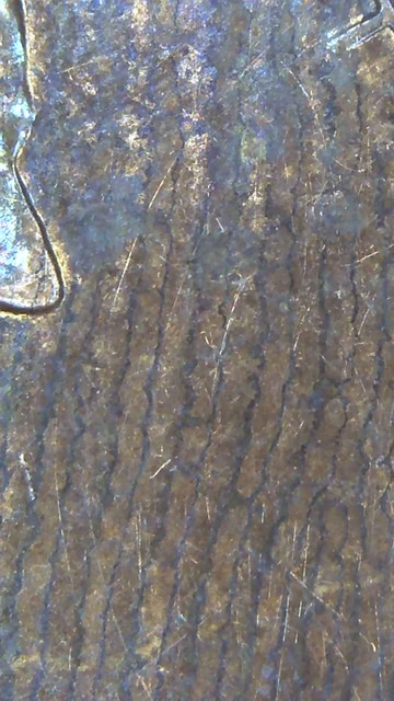 2008-D-LMC---Odd-Striations