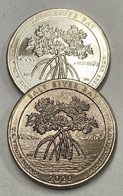 2020-D-Quarter---Salt-River-Bay---Odd-Coloration