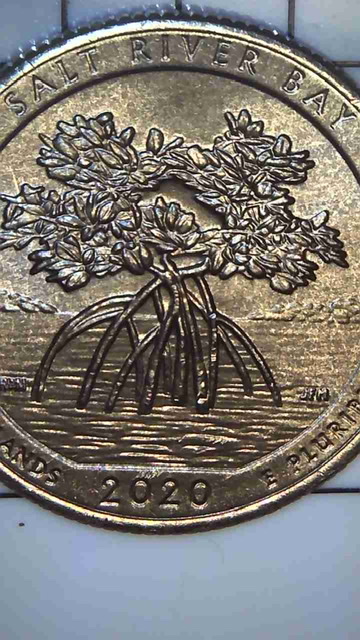 2020-D-Quarter---Salt-River-Bay---Odd-Coloration