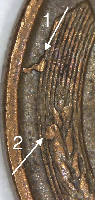 1955-D-LWC---Multiple-Die-Chips?