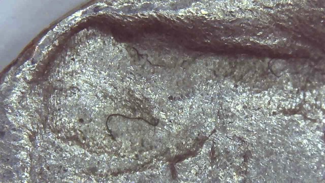1979-D-Kennedy-Half-Dollar---Strike-Through-Or-PMD
