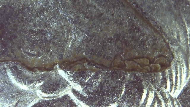 2020-Salt-River-Bay-Quarter---Environmental-Damage-Or-Not?