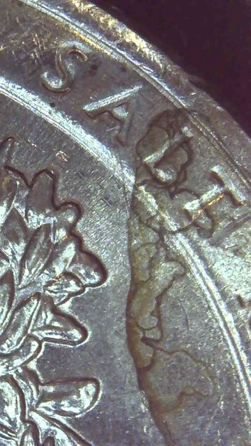 2020-Salt-River-Bay-Quarter---Environmental-Damage-Or-Not?