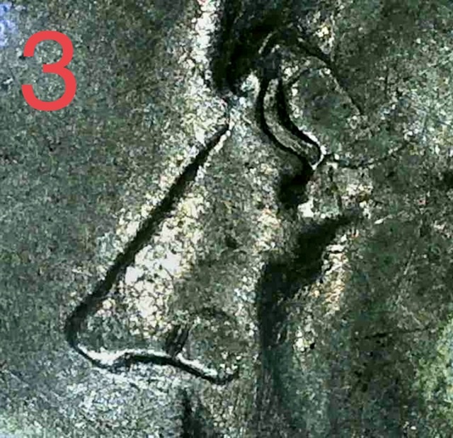1973-D-Kennedy-Half---Die-Progression-Montage