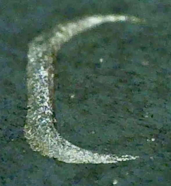 2004-D-Kennedy-Half---PMD,-Counterstamp-Or-Strike-Through?