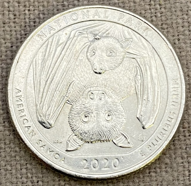 2020-P-Washington-Quarter---American-Samoa---Die-Break-Or-Chip