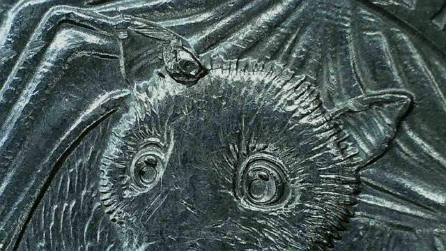 2020-P-Washington-Quarter---American-Samoa---Die-Break-Or-Chip