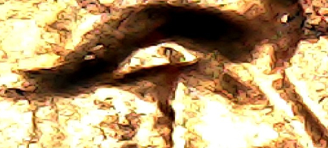 This-Is-WDDR-002-1-Cent-1983?-Thanks-For-Answer-!