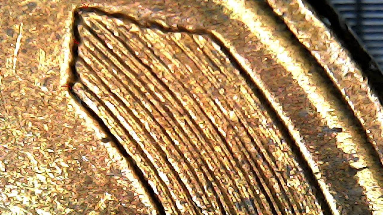 One-Penny-1956-D-Have-Double-D-Or-Something-Here?-Thanks-For-Answer