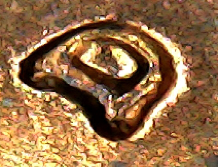 One-Penny-1956-D-Have-Double-D-Or-Something-Here?-Thanks-For-Answer