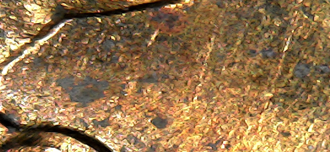 One-Penny-1956-D-Have-Double-D-Or-Something-Here?-Thanks-For-Answer