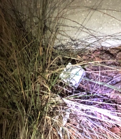 Post-Your-Stories-&-Pix-Of-Found-Money