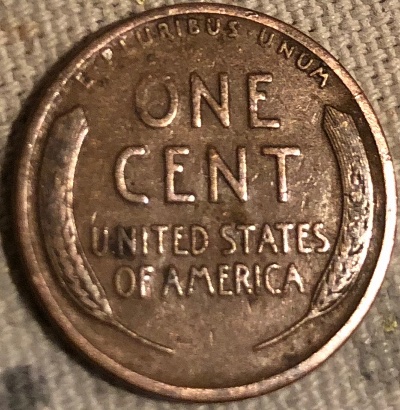 Interesting-Find-From-Circulation
