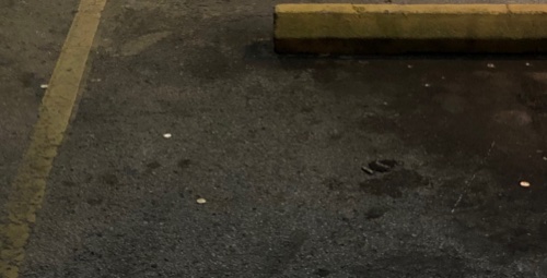 Post-Your-Stories-&-Pix-Of-Found-Money