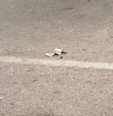 Post-Your-Stories-&-Pix-Of-Found-Money