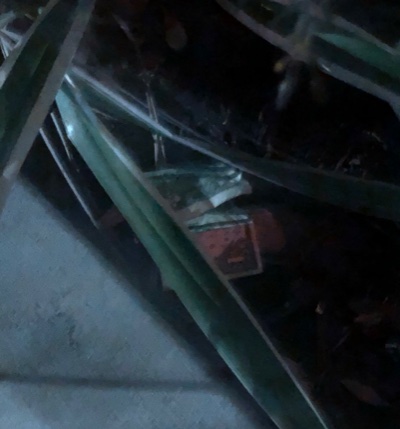 Post-Your-Stories-&-Pix-Of-Found-Money