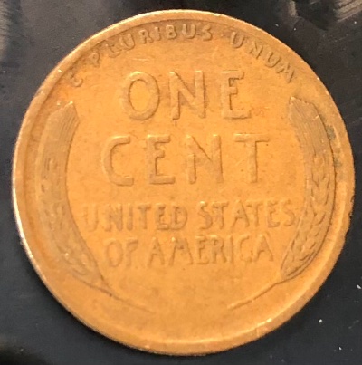 Interesting-Find-From-Circulation