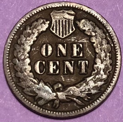 Interesting-Find-From-Circulation