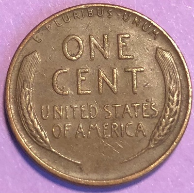 Interesting-Find-From-Circulation